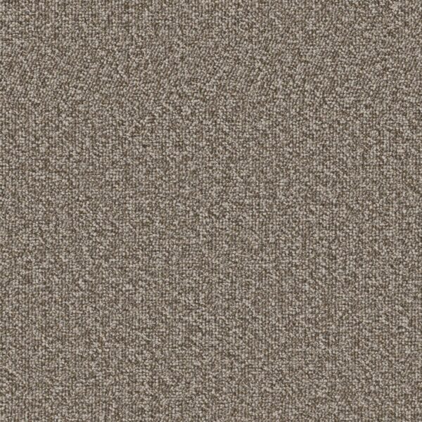Philadelphia Commercial Carpet Avenue Cleveland 00710_54989