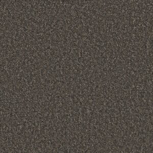 Philadelphia Commercial Carpet Avenue Hoover 00716_54989