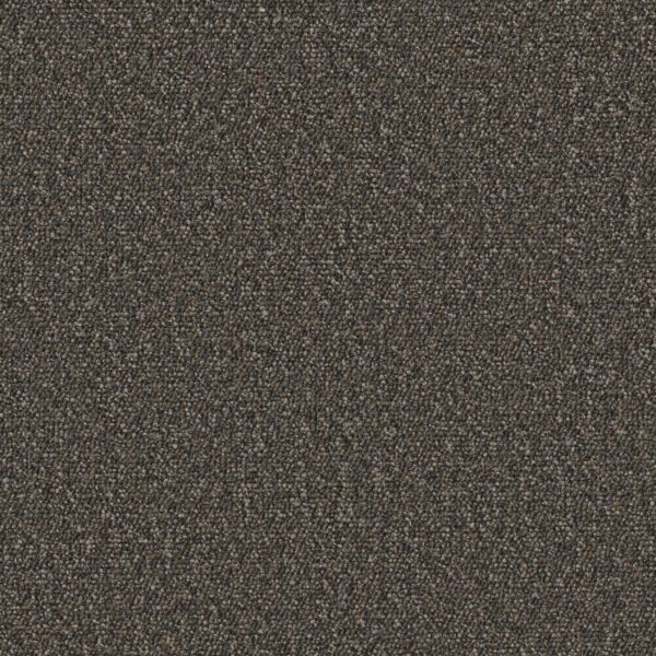Philadelphia Commercial Carpet Avenue Hoover 00716_54989