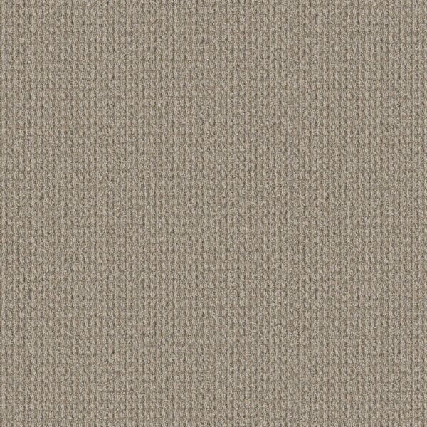 Philadelphia Commercial Carpet Prelude Preliminary 00200_54990