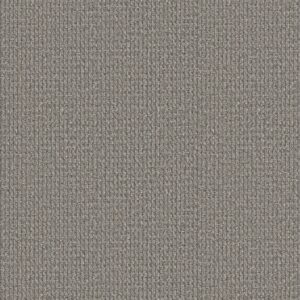 Philadelphia Commercial Carpet Prelude Precursor 00500_54990