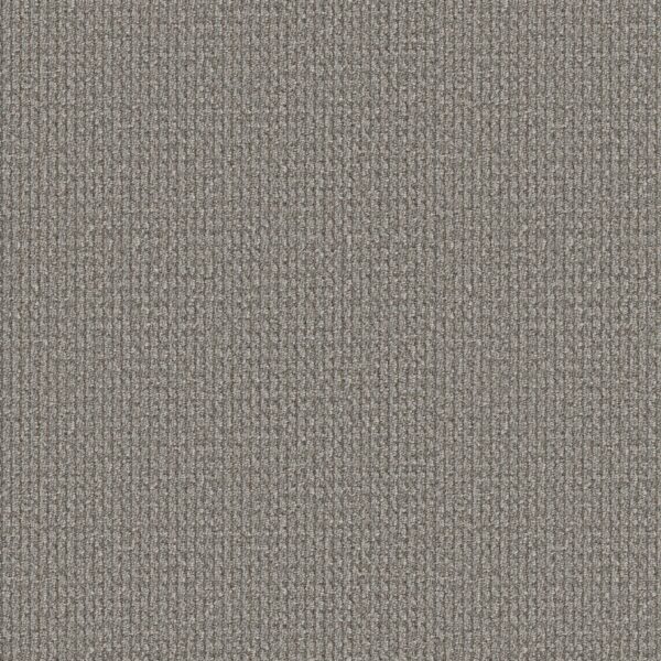 Philadelphia Commercial Carpet Prelude Precursor 00500_54990
