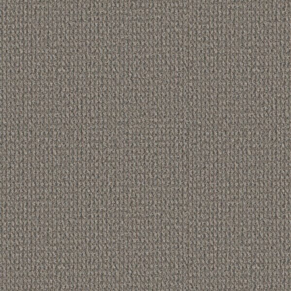 Philadelphia Commercial Carpet Prelude Forerunner 00501_54990