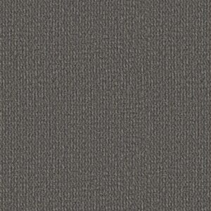 Philadelphia Commercial Carpet Prelude Preamble 00508_54990