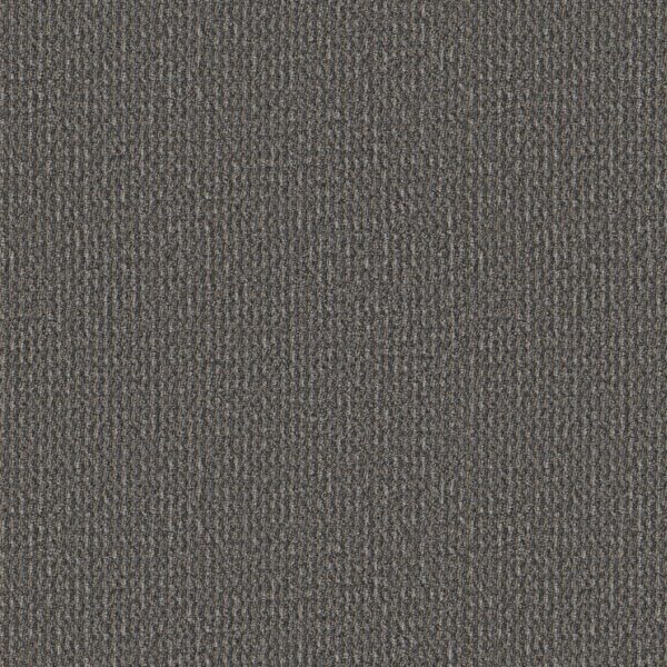 Philadelphia Commercial Carpet Prelude Preamble 00508_54990