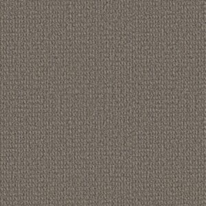 Philadelphia Commercial Carpet Prelude Lead In 00700_54990