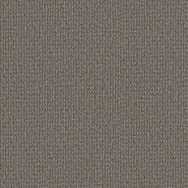 Philadelphia Commercial Carpet Prelude Lead In 00700_54990