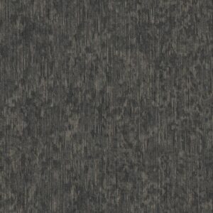 Philadelphia Commercial Carpet Shared Force Enthusiastic 93510_54993