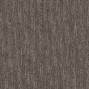 Philadelphia Commercial Carpet Aim High Empower 00200_54996