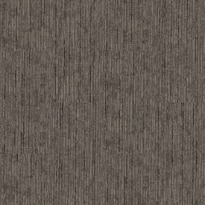 Philadelphia Commercial Carpet Aim High Invest 00205_54996