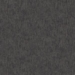 Philadelphia Commercial Carpet Aim High Endurance 00500_54996