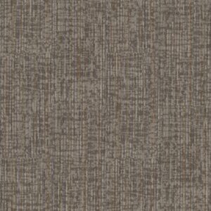 Philadelphia Commercial Carpet Rise Up Inspire 00102_54997