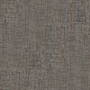 Philadelphia Commercial Carpet Rise Up Magnify 00104_54997