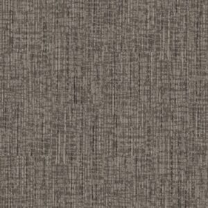Philadelphia Commercial Carpet Rise Up Champion 00105_54997