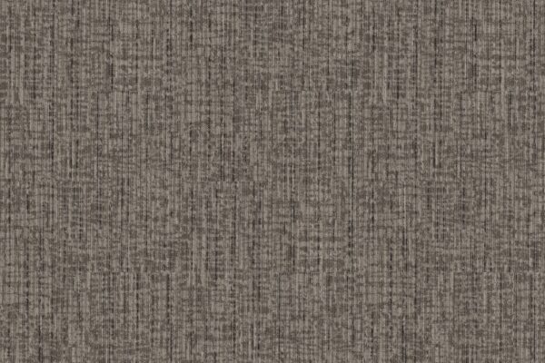 Philadelphia Commercial Carpet Rise Up Champion 00105_54997