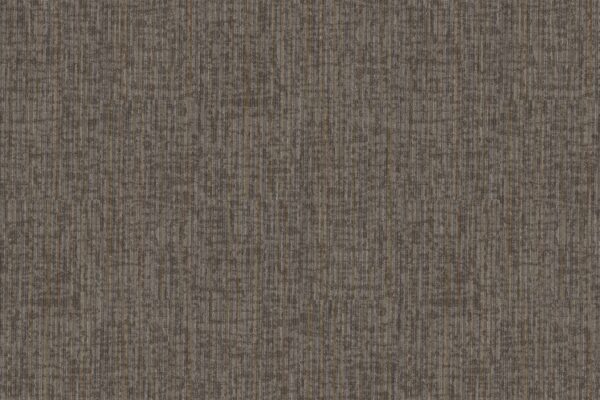 Philadelphia Commercial Carpet Rise Up Motivate 00202_54997
