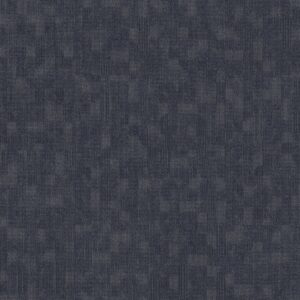 Philadelphia Commercial Carpet Refocus Morph 00406_55005