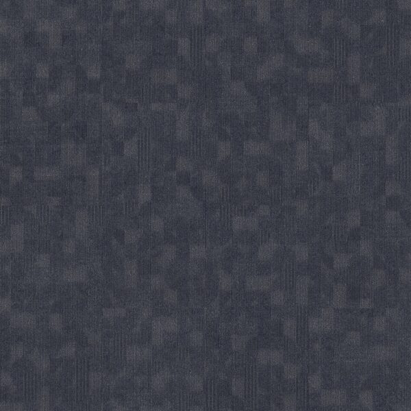 Philadelphia Commercial Carpet Refocus Morph 00406_55005