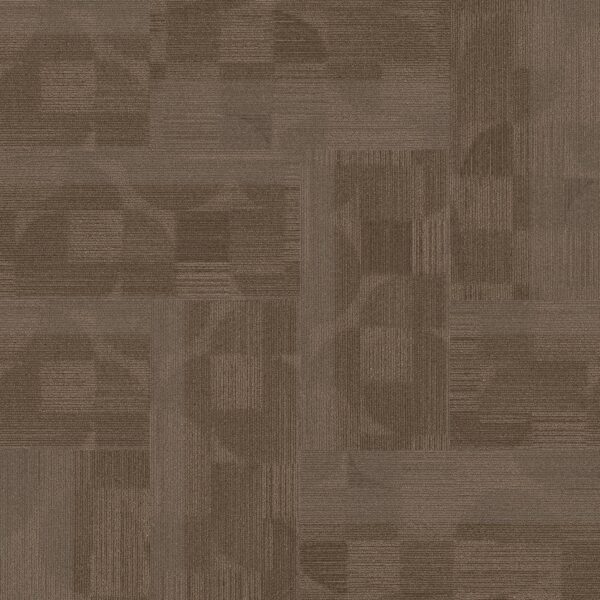 Philadelphia Commercial Carpet Reset Evolve 00200_55006