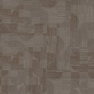 Philadelphia Commercial Carpet Reset Shift 00700_55006