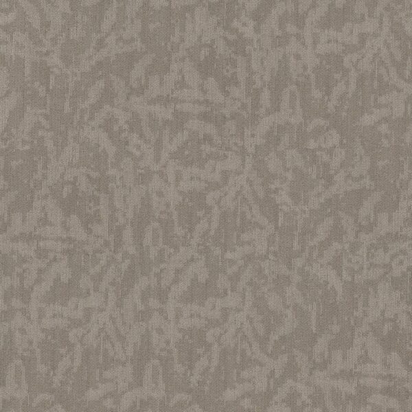 Philadelphia Commercial Carpet Modern Heirloom Bl Chiffon 00200_55014