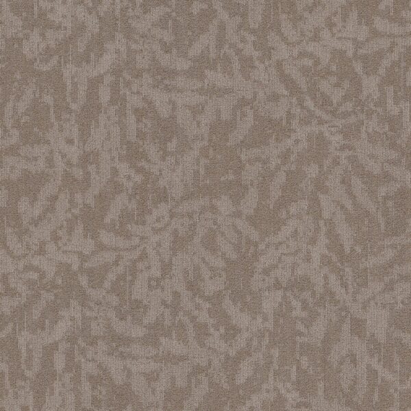 Philadelphia Commercial Carpet Modern Heirloom Bl Flaxen 00202_55014