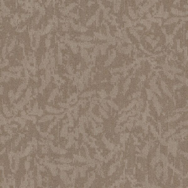 Philadelphia Commercial Carpet Modern Heirloom Bl Windsor Tan 00208_55014