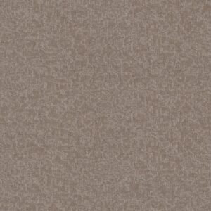 Philadelphia Commercial Carpet Mindful Movements Bl Flaxen 00202_55015