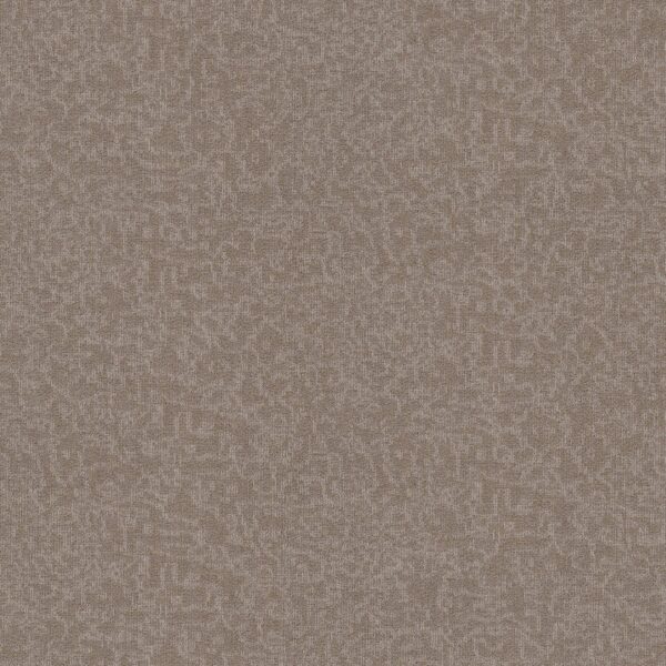 Philadelphia Commercial Carpet Mindful Movements Bl Flaxen 00202_55015