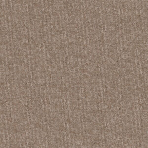 Philadelphia Commercial Carpet Mindful Movements Bl Windsor Tan 00208_55015