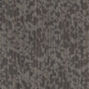 Philadelphia Commercial Carpet Folium Bl Dwelling 00510_55017