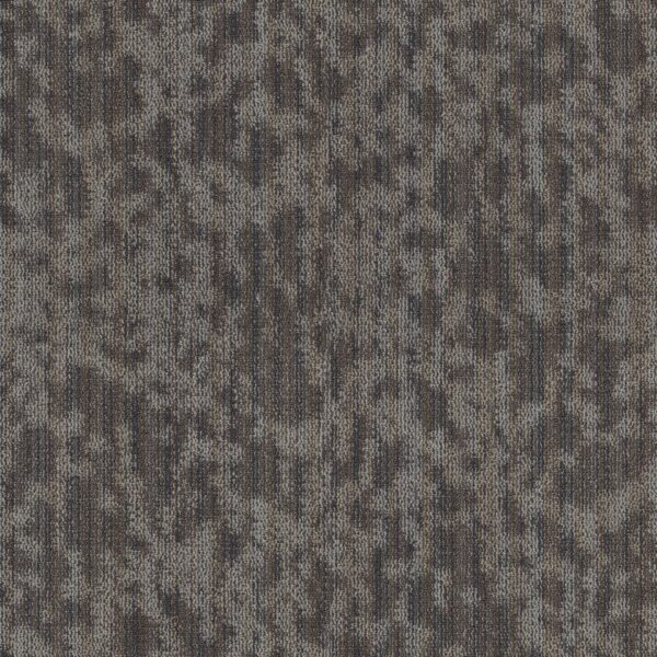 Philadelphia Commercial Carpet Folium Bl Dwelling 00510_55017