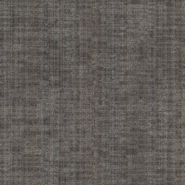 Philadelphia Commercial Carpet Terrena Bl Dwelling 00510_55018