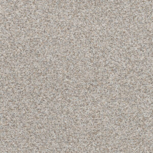Dreamweaver Carpet Prismatic II Saturation Carpet 5655_7040