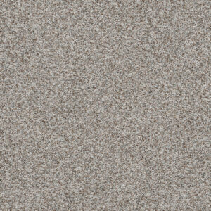 Dreamweaver Carpet Prismatic III Patina Carpet 5665_7050