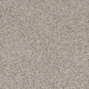 Dreamweaver Carpet Prismatic III Crisp Carpet 5665_7055