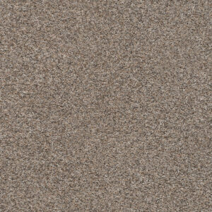 Dreamweaver Carpet Prismatic III Resolution Carpet 5665_7076