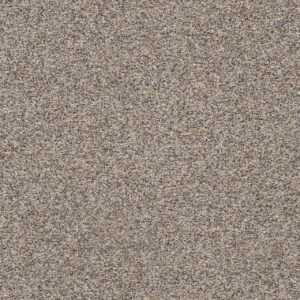 Dreamweaver Carpet Prismatic I Mineral Carpet 5645_7637