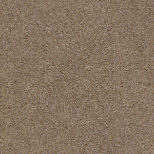 Dreamweaver Carpet Spectrum II Charismatic Carpet 5675_2566
