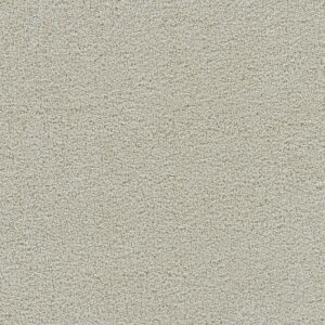 Dreamweaver Carpet Spectrum III Whisper Carpet 5690_2622