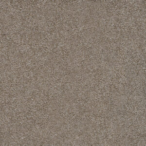 Dreamweaver Carpet Spectrum I Hidden Treasure Carpet 5660_2715