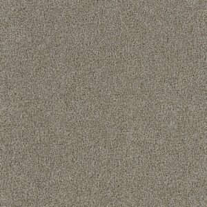 Dreamweaver Carpet Spectrum III Skyvue Carpet 5690_4011