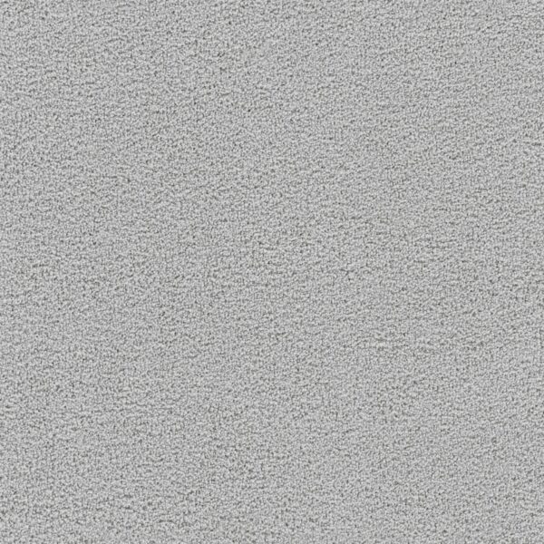 Dreamweaver Carpet Spectrum II Frost Carpet 5675_4453 - Rogers Family ...