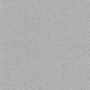 Dreamweaver Carpet Spectrum I Frost Carpet 5660_4453