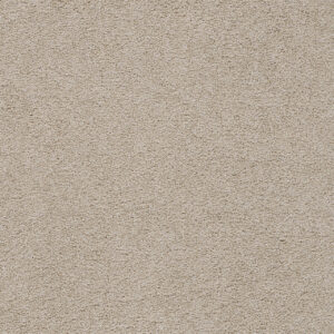 Dreamweaver Carpet Spectrum III Even Better Carpet 5690_4588