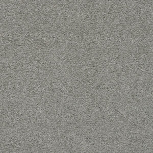 Dreamweaver Carpet Spectrum III Kiwi Cove Carpet 5690_4662