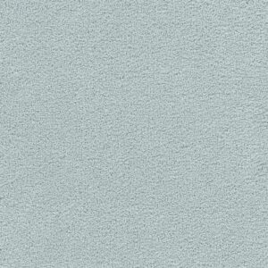 Dreamweaver Carpet Spectrum II Wind Chill Carpet 5675_4672