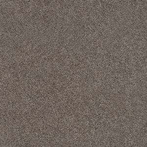 Dreamweaver Carpet Spectrum I Gardner Soil Carpet 5660_4901