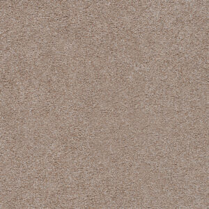 Dreamweaver Carpet Spectrum III Colorful Leaves Carpet 5690_5015