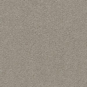 Dreamweaver Carpet Spectrum III Ventura Carpet 5690_5030